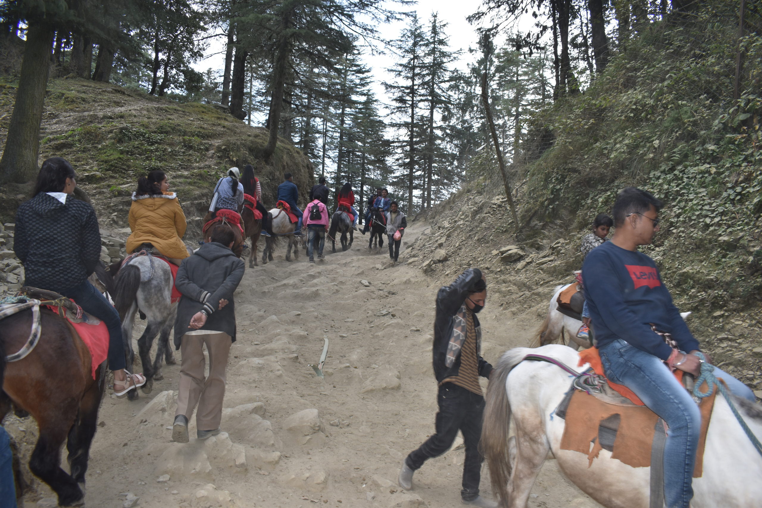 Horse Ride to Mahasu Peak