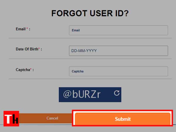 Enter email id, date of birth, and captcha code, and click on submit tab