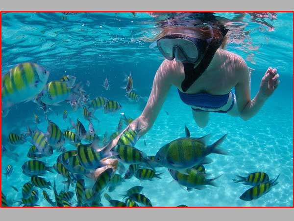 Snorkeling blue Ocean