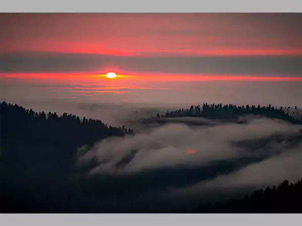 redwood creek overlook