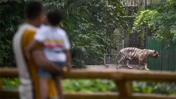 Delhi Zoo