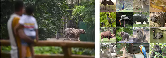 National Zoological Parks