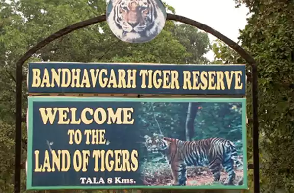 Bandhavgarh National Park, Madhya Pradesh