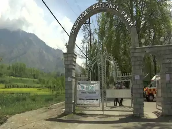 Dachigam National Park, Srinagar