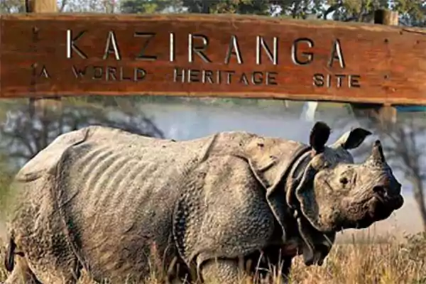 Kaziranga National Park, Assam