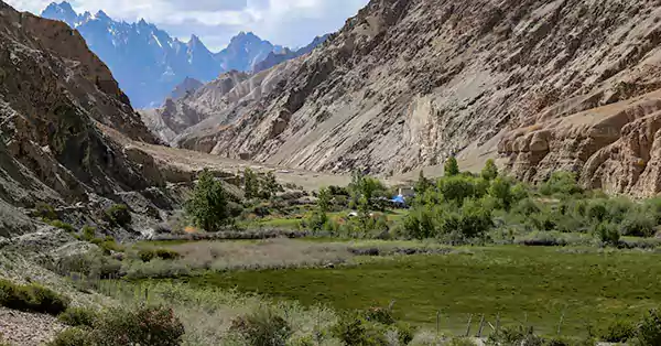 Markha Valley