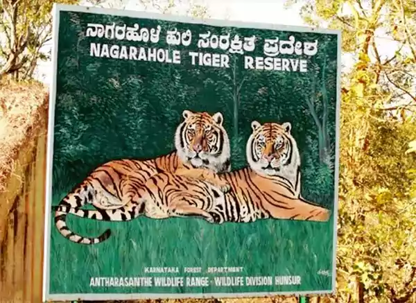 Nagarhole Tiger Reserve, Kabini Wildlife Sanctuary, Karnataka