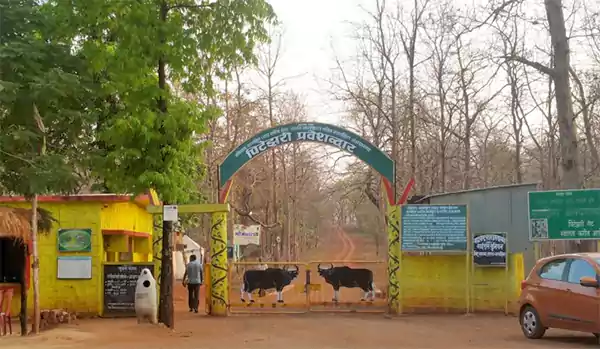 Nagzira Wildlife Sanctuary, Maharashtra