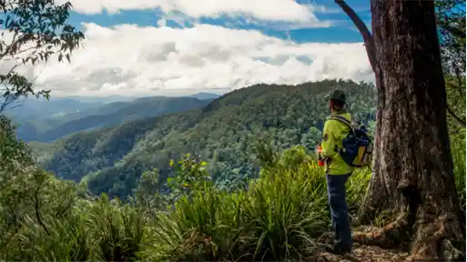 Otway Fly Zipline