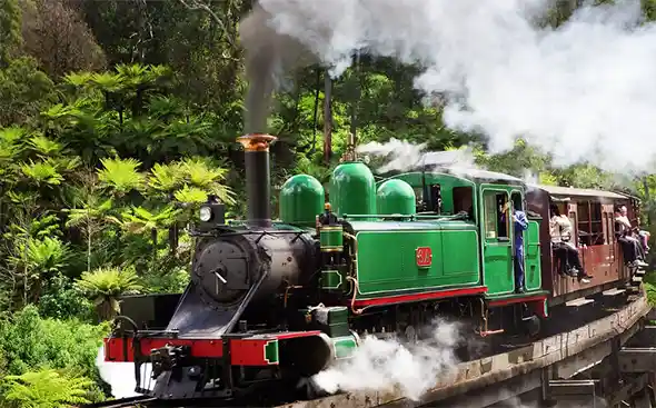 Puffing Billy Railway Steam Train