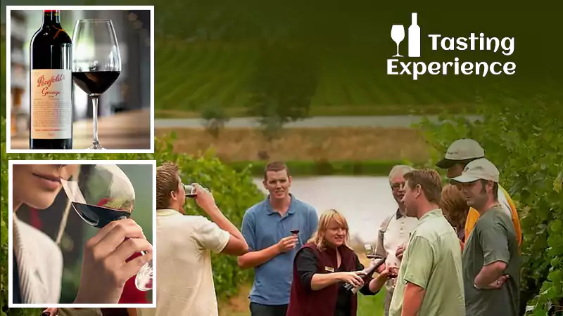 Wine-Tasting Experience