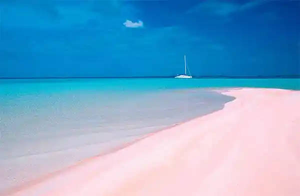 Les Sables Rose, Rangiroa, French Polynesia