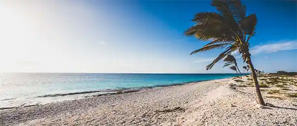 Pink Beach, Bonaire