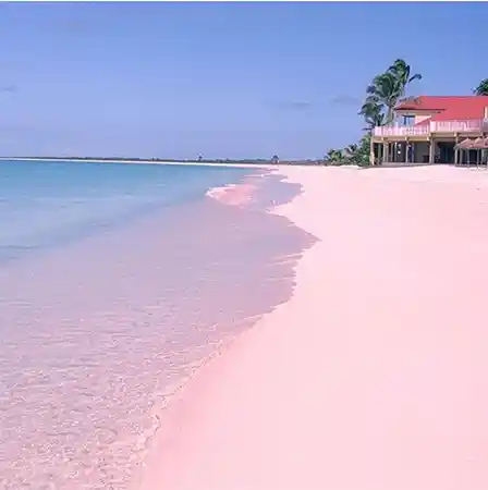 Pink Sand Beach, Barbuda