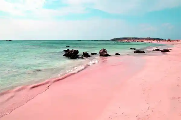 Pink sand beach in the Bahamas