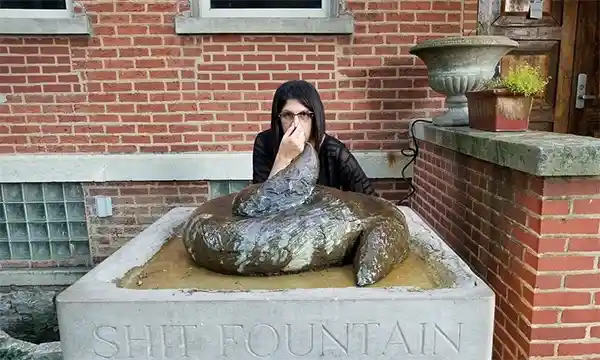 Shit fountain