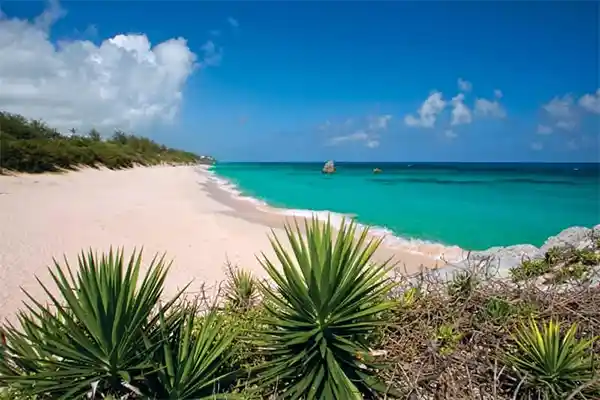 Warwick Long Bay, Bermuda