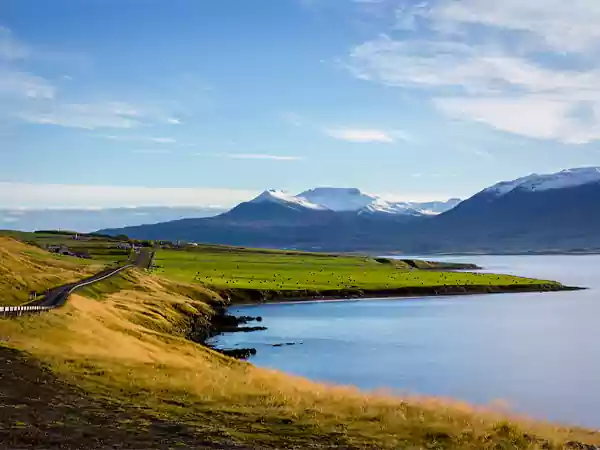 Bridge in Iceland