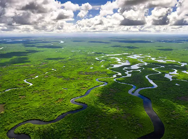 Everglades)