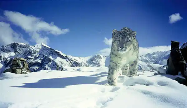 Hemis National Park)