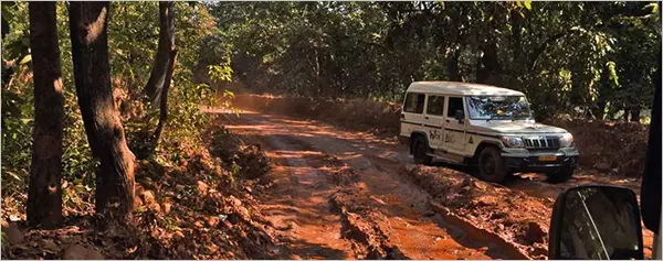 Jeep Safari