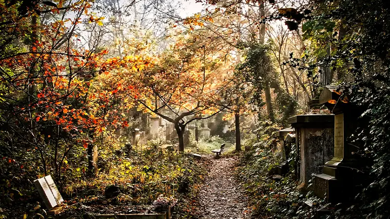 abney park