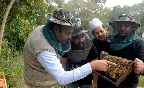 Bee Conversation Sunder Nursery Delhi