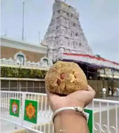 laddu prasadam