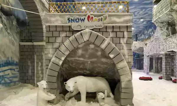 snow world bear