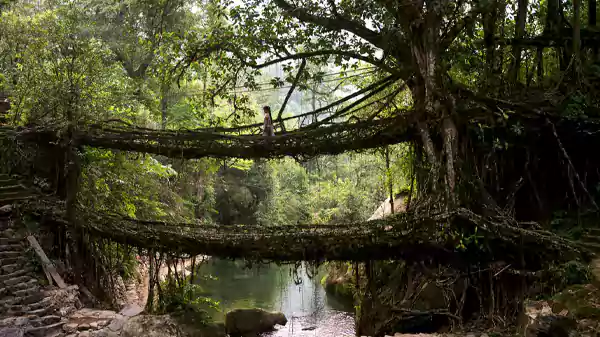 Cherrapunjee Meghalaya