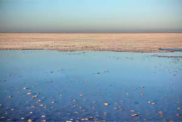 Rann Of Kutch Gujarat