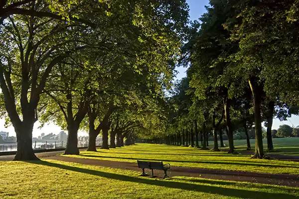 Wandsworth Park image