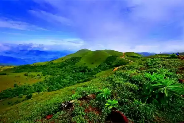 Coorg Karnataka