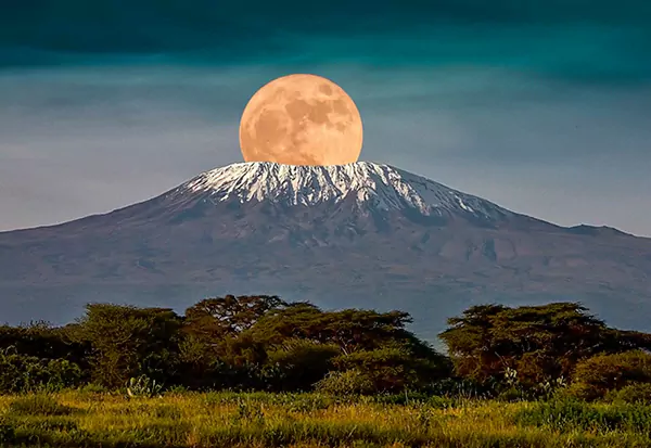 Kilimanjaro