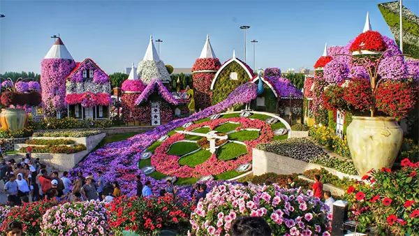 Miracle-Garden