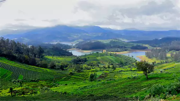 Ooty