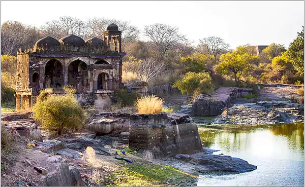 Ranthambore Rajasthan