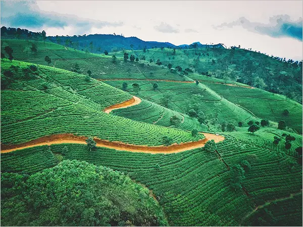 Sakleshpur-good-places-to-travel-in-South-India-in-summer