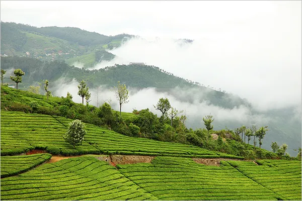 Coonoor, Tamil Nadu