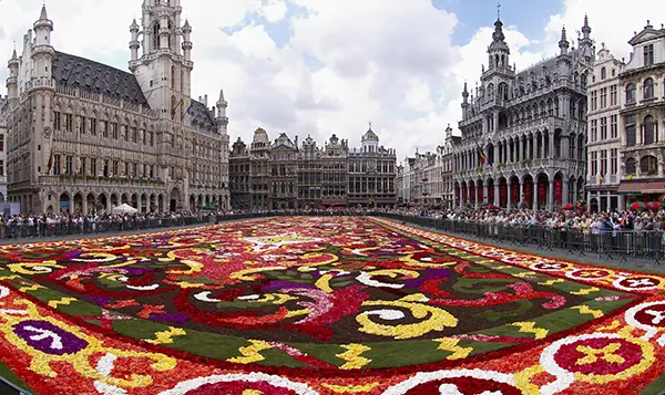 Flower carpet festival image