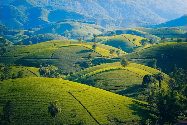 Kodaikanal, Tamil Nadu