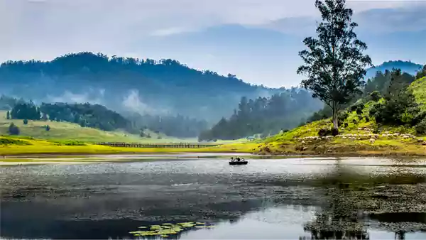 Kodaikanal Tamil Nadu