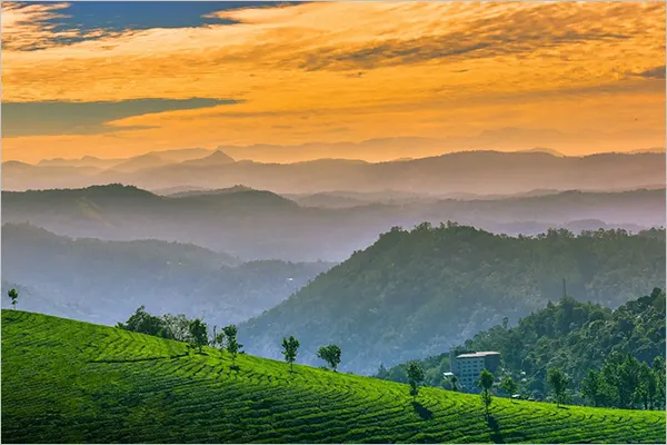 Munnar, Kerala