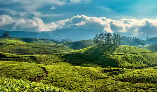 Munnar Kerala