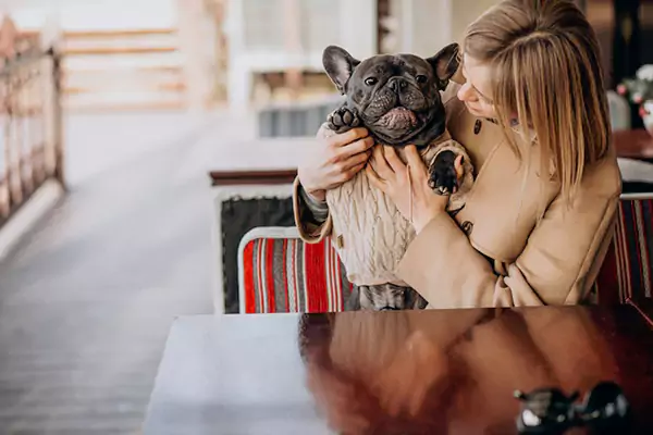 Pet-Friendly Hotels