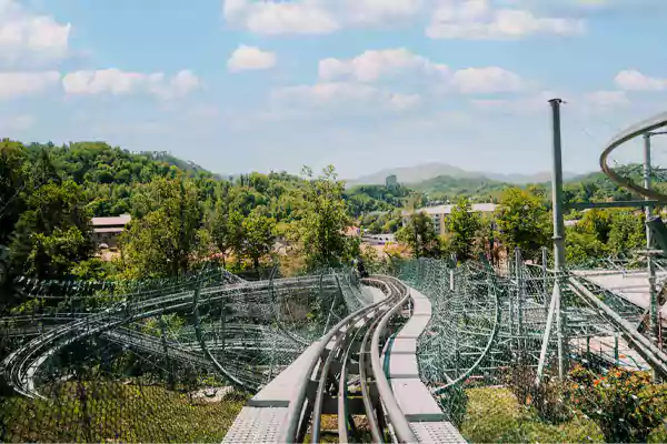 Smoky Mountain Alpine Coaster image