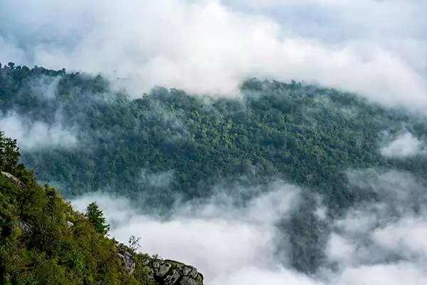 Smoky mountains