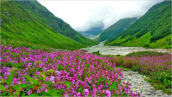 Valley of Flowers, Chamoli, Uttarakhand