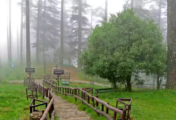 Dhanaulti Uttarakhand