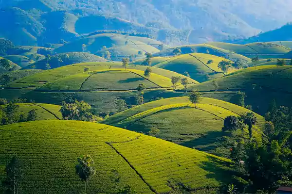 Kodaikanal Tamil Nadu1